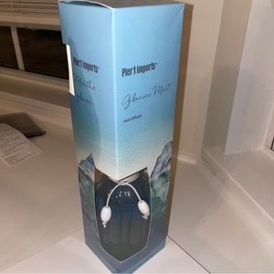 Pier 1 Imports Glacier Mint Diffuser 10 oz 10 Rattan Reeds New. Discontinued